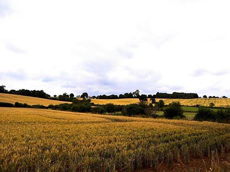 Downham Hall image