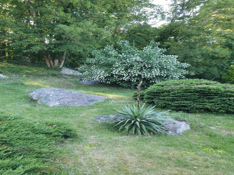 Le Jardin Des Roches image