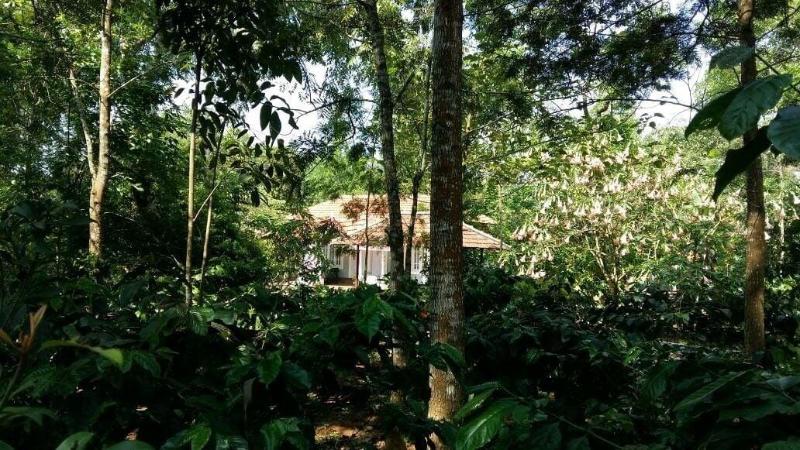 Whispering Woods By Rai Hospitalities