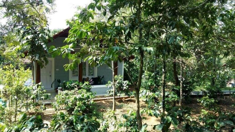 Whispering Woods By Rai Hospitalities