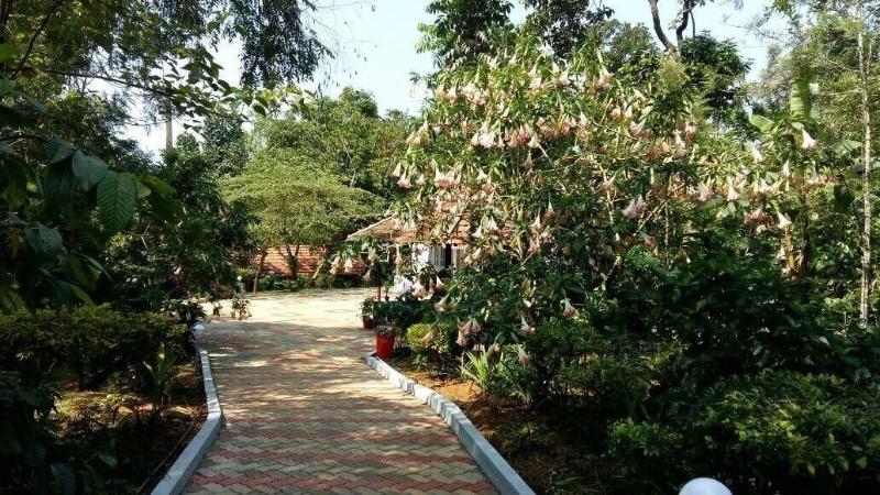 Whispering Woods By Rai Hospitalities