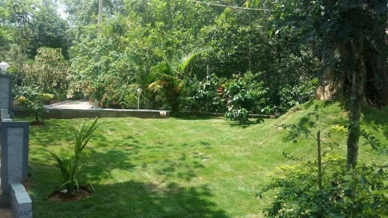 Whispering Woods By Rai Hospitalities