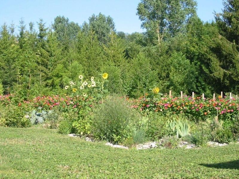 Au Pré du Moulin image