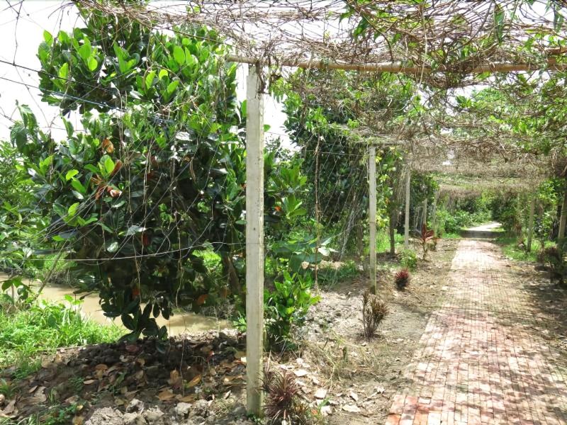 Le Garden Villa Homestay image