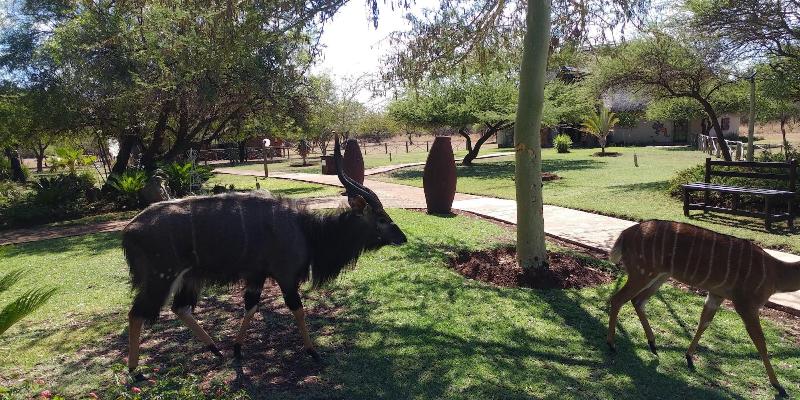 Mangwa Valley Game Lodge & Spa image