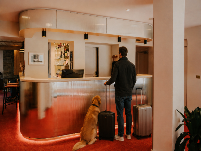Hotel Lyret image