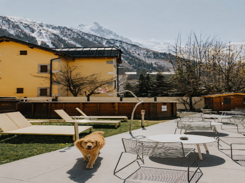 Hotel Lyret image