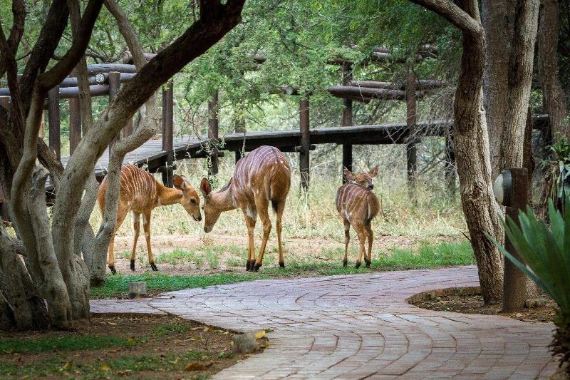 Serondella Game Lodge image
