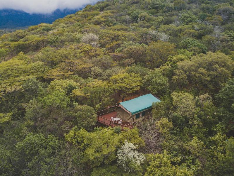 Amafu Forest Lodge - Image 2