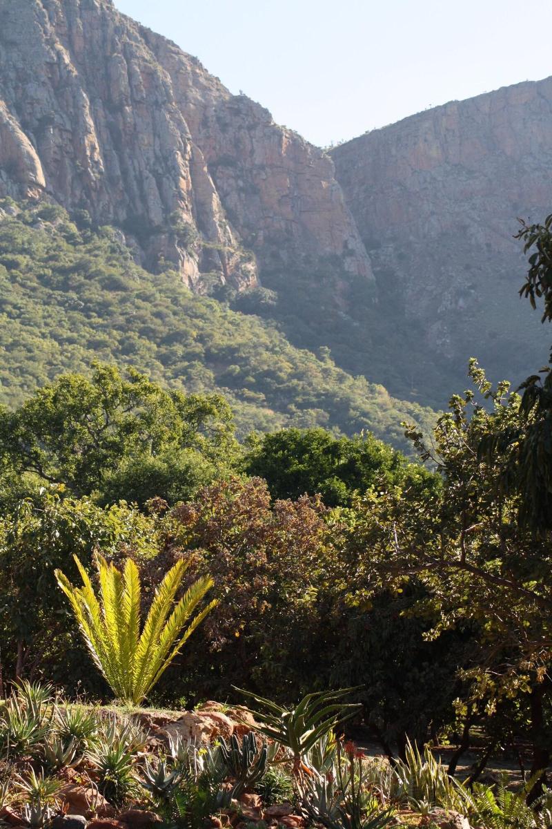 Amafu Forest Lodge - Image 1
