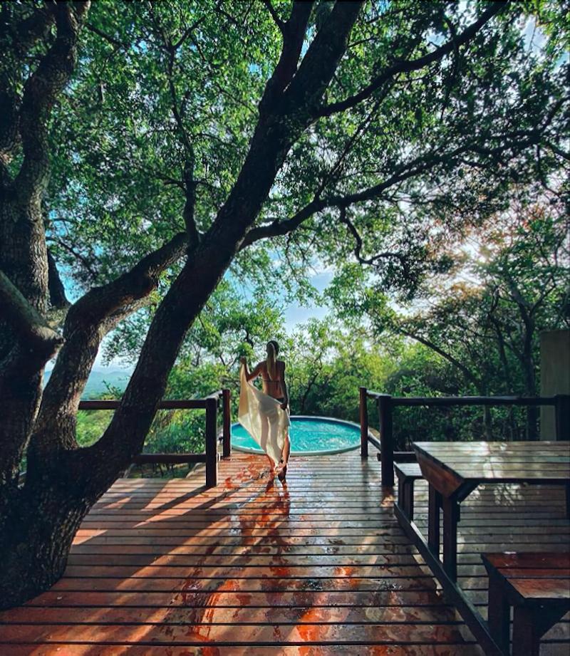 Amafu Forest Lodge - Image 5