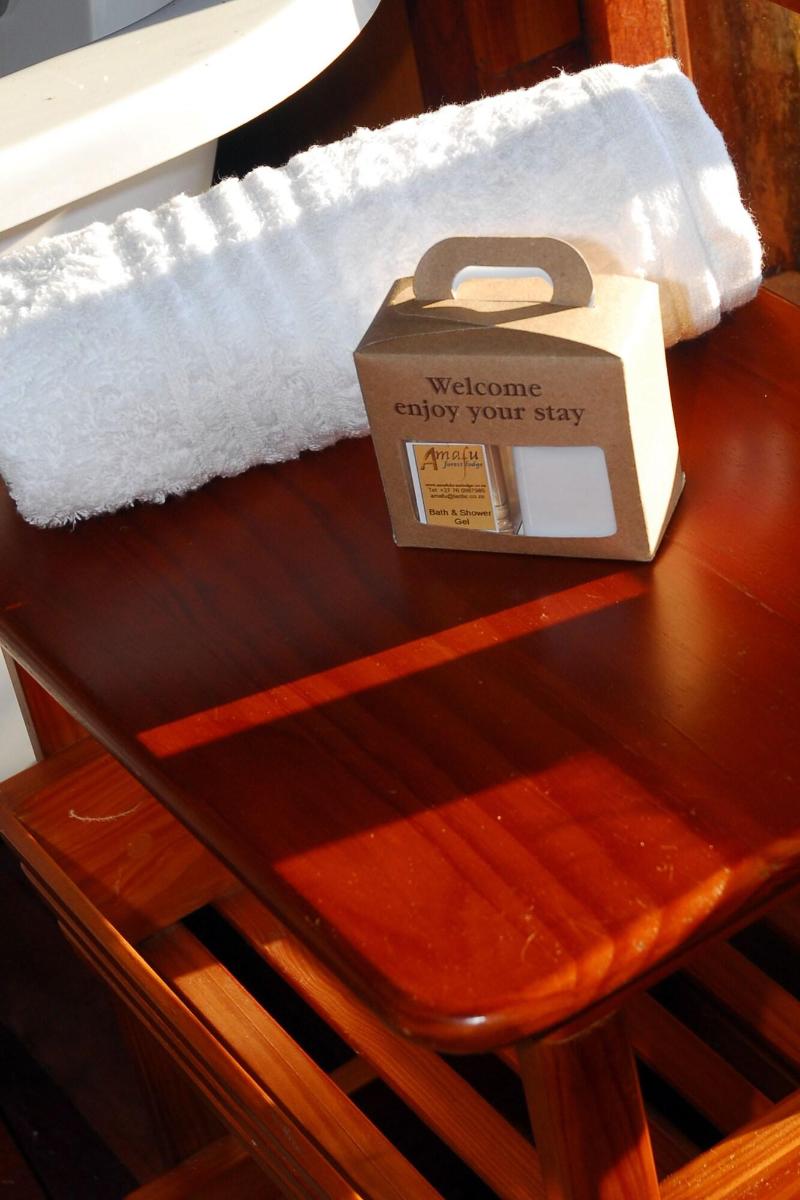 Amafu Forest Lodge - Image 6