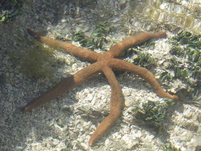Pousada Arco-íris image