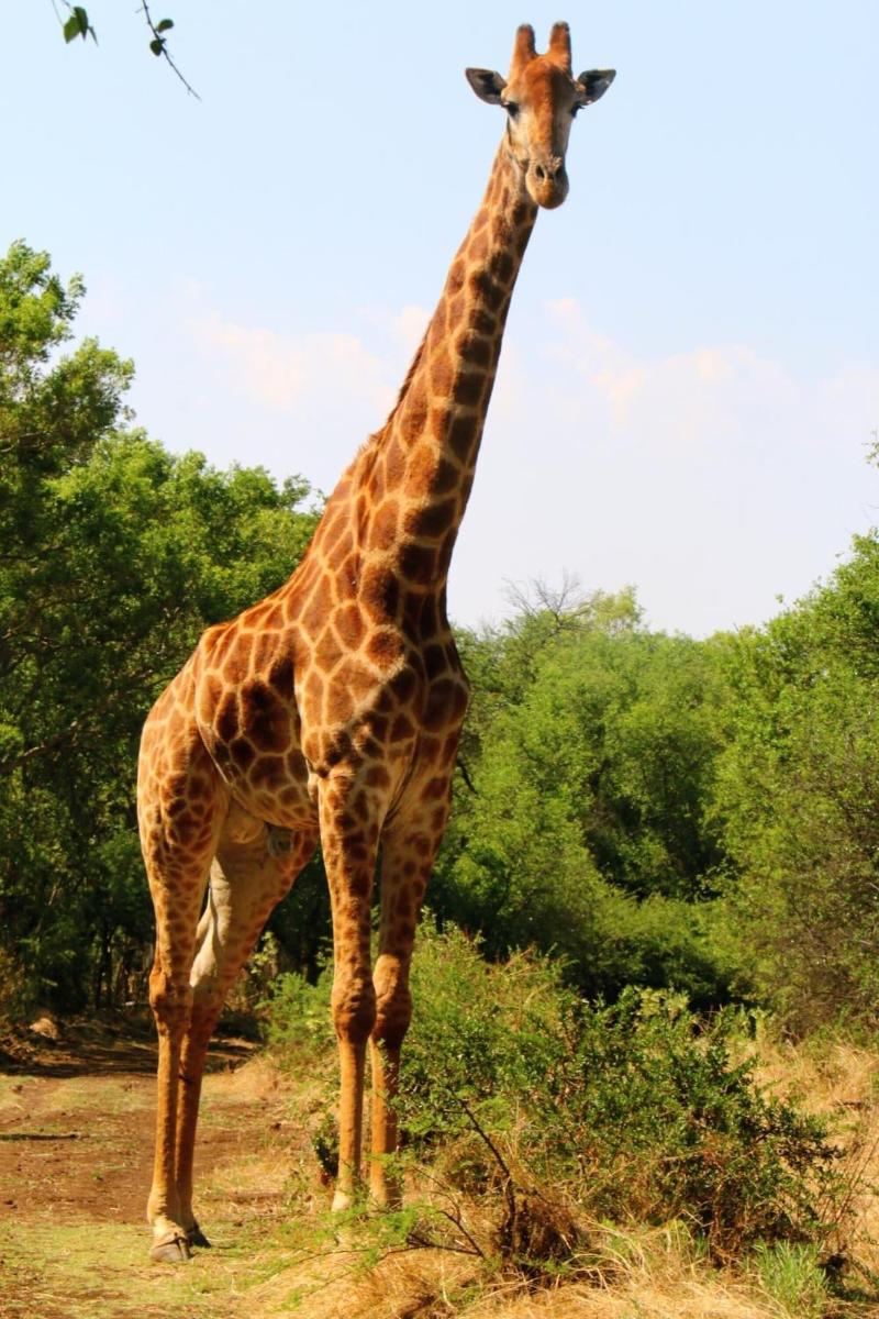 Ouklip Game Lodge image