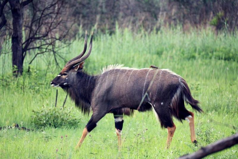 Ouklip Game Lodge image