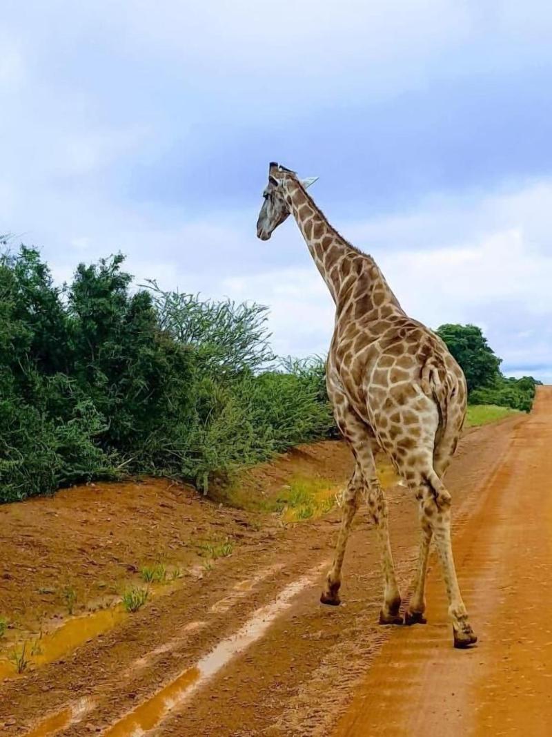 Ouklip Game Lodge image