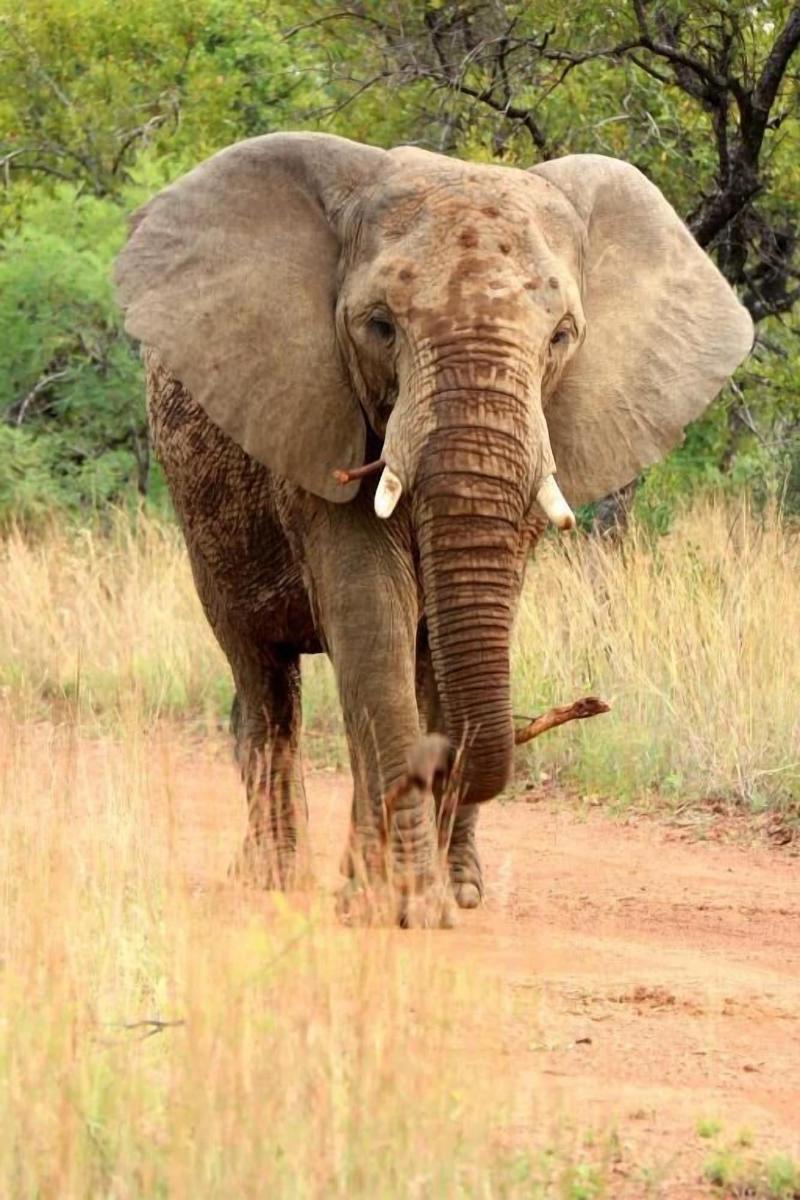 Ouklip Game Lodge image