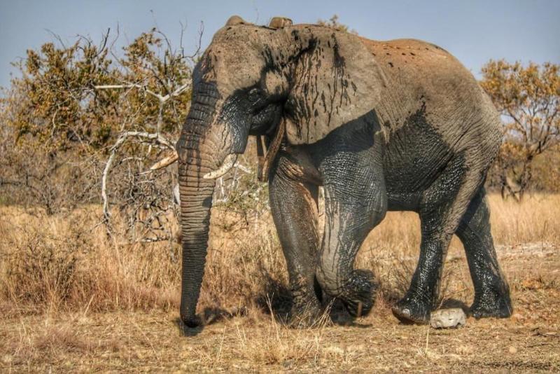 Ouklip Game Lodge image