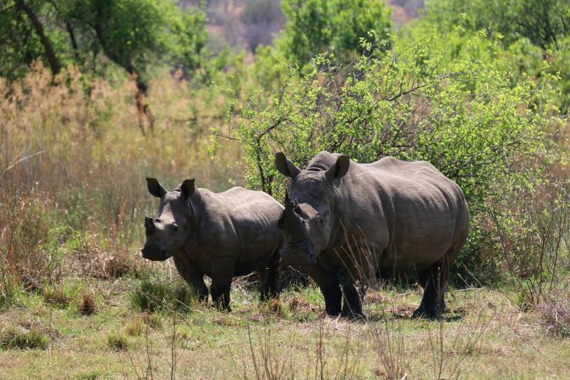 Ouklip Game Lodge image