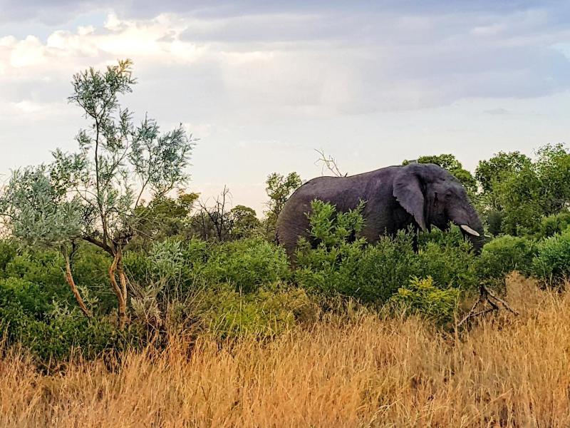 Ouklip Game Lodge image
