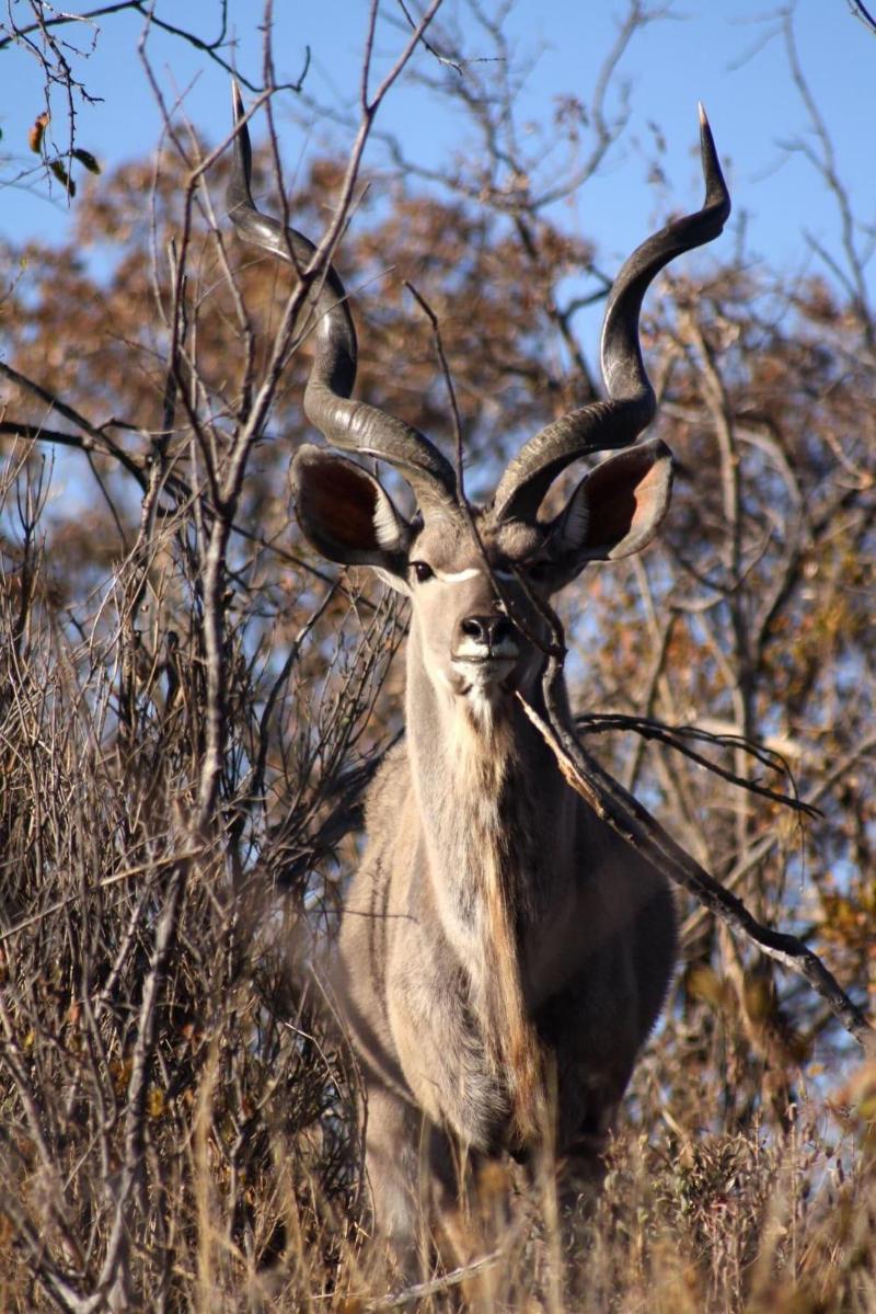 Ouklip Game Lodge image