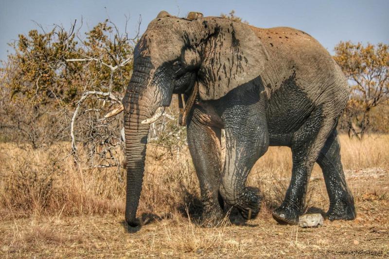 Ouklip Game Lodge image