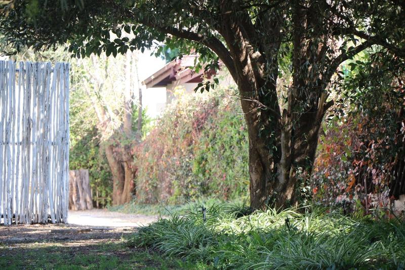 Indigo Moon Guesthouse image