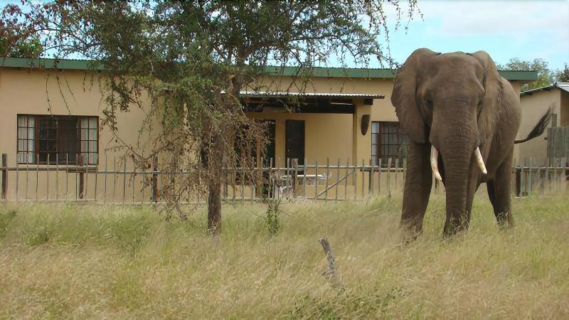 Muweti Bush Lodge — general view