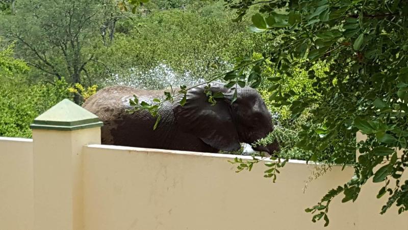 Muweti Bush Lodge image
