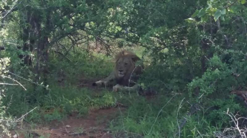 Muweti Bush Lodge image