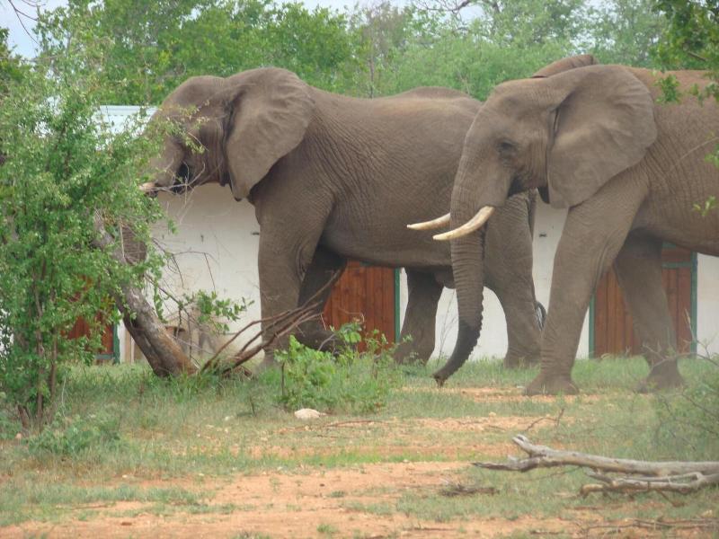 Muweti Bush Lodge image