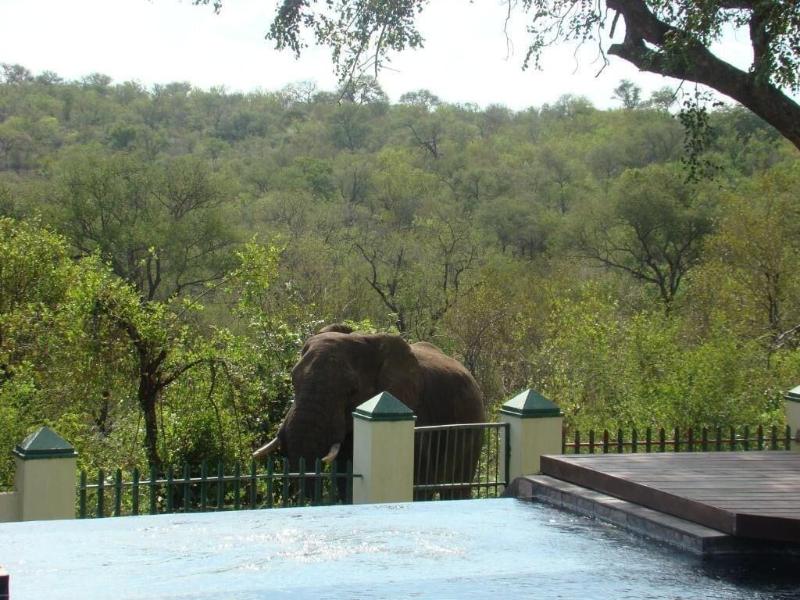 Muweti Bush Lodge image