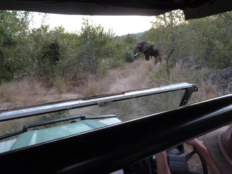 Muweti Bush Lodge image