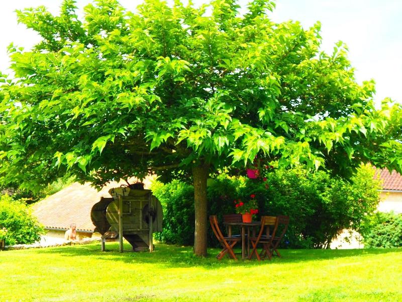 La Belle Verte image