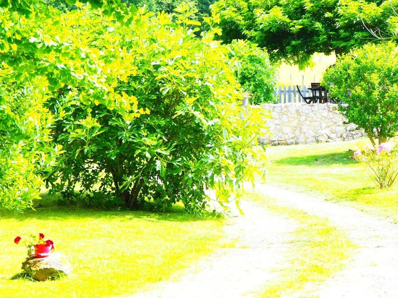 La Belle Verte image