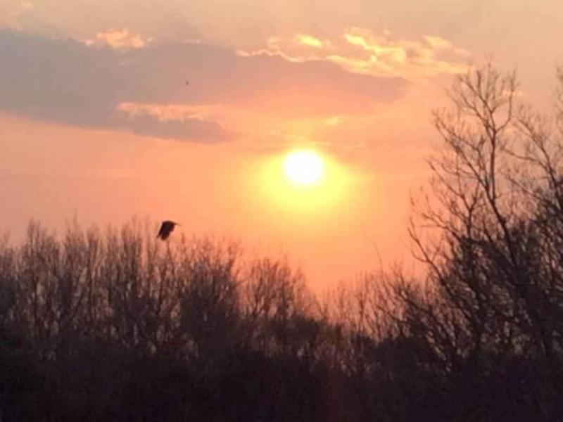 Sunset Manor Guest House image
