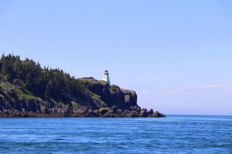 Whale Cove Inn — general view