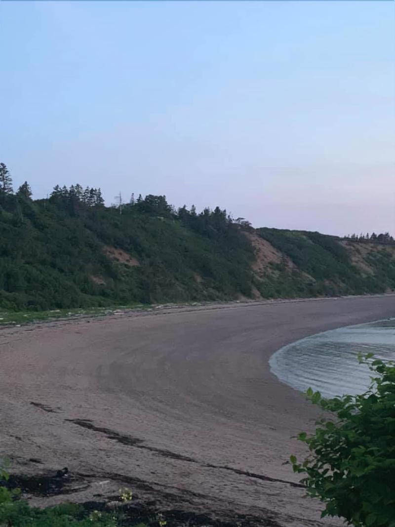 Whale Cove Inn — general view