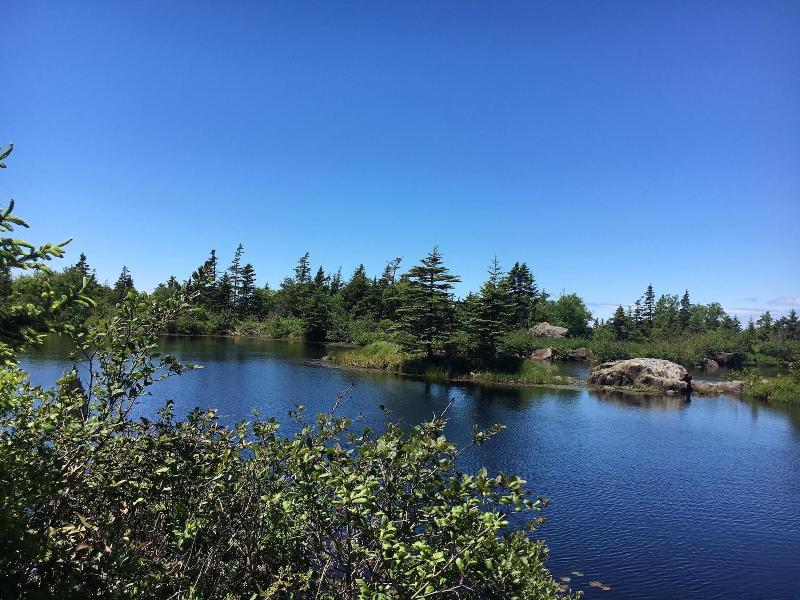 Whale Cove Inn — general view