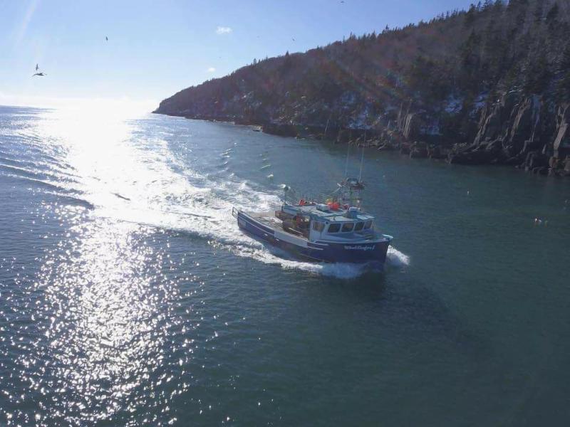 Whale Cove Inn