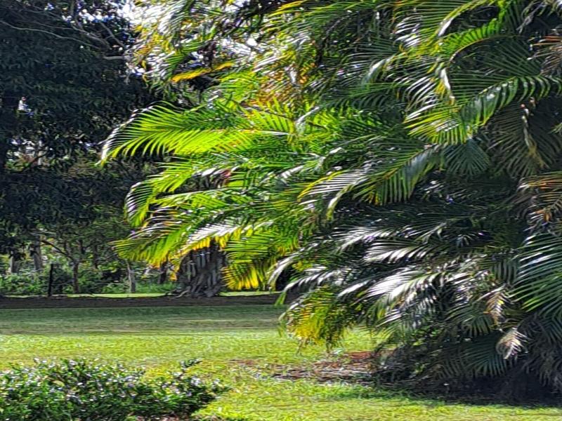 Malanda Lodge Motel