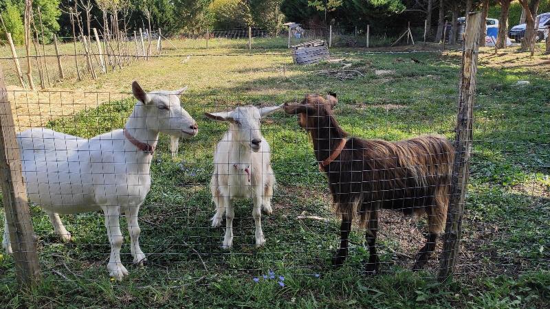Domaine De Potofayol image
