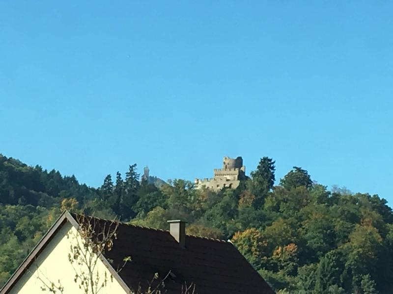 Chambres Au Pied Du Haut Koenigsbourg image
