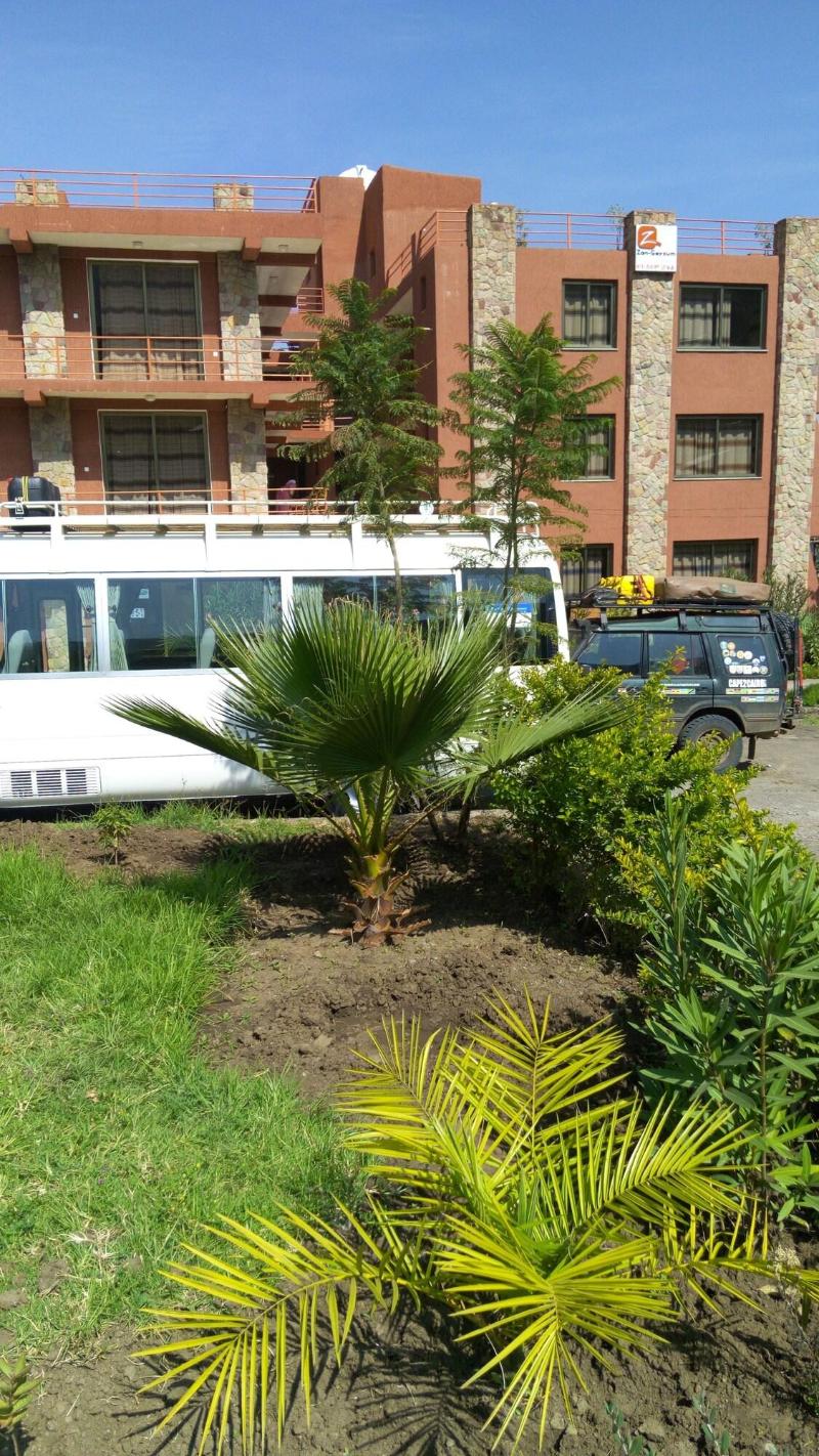 Zan-Seyoum Hotel image