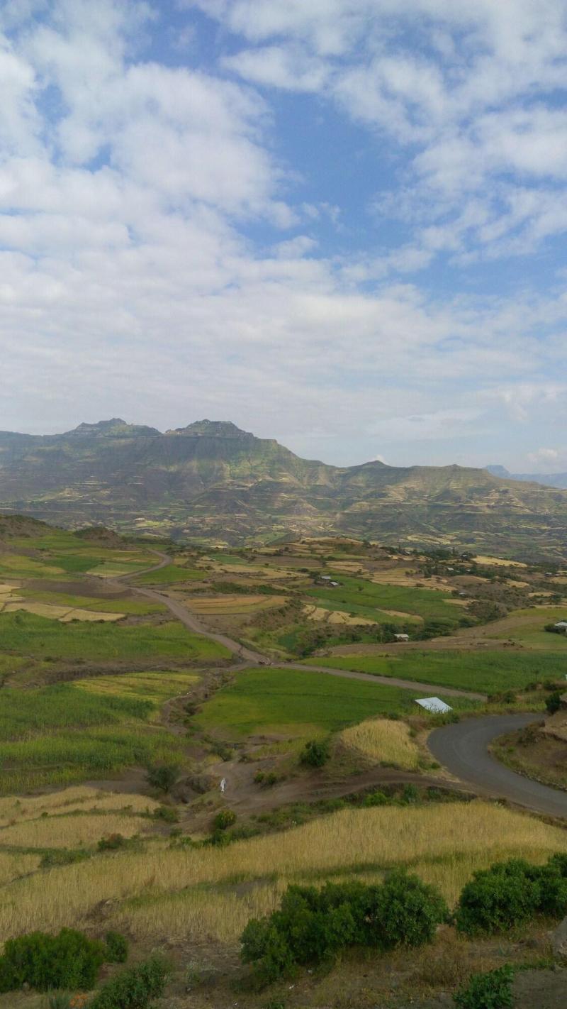 Zan-Seyoum Hotel image