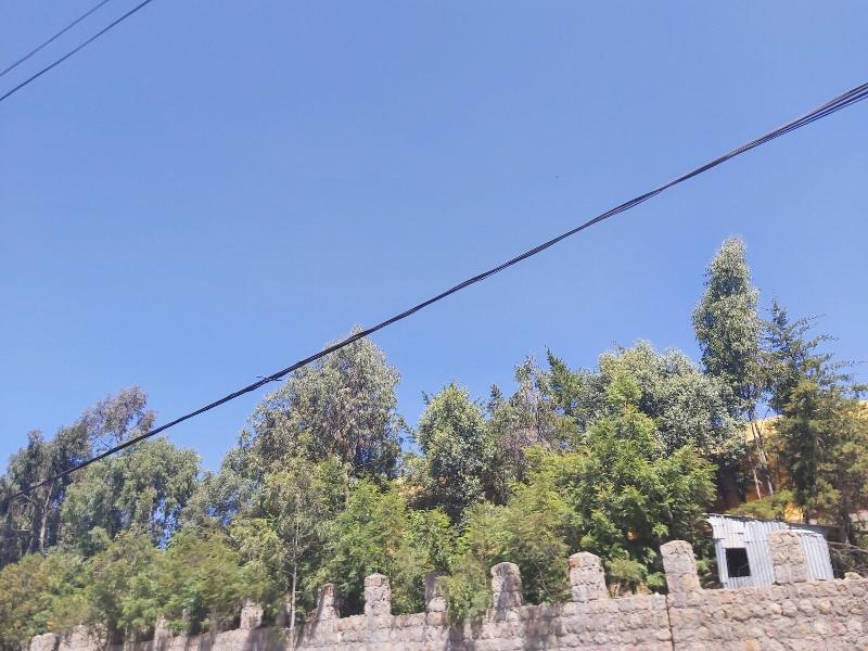 Lalibela Roha Tour image