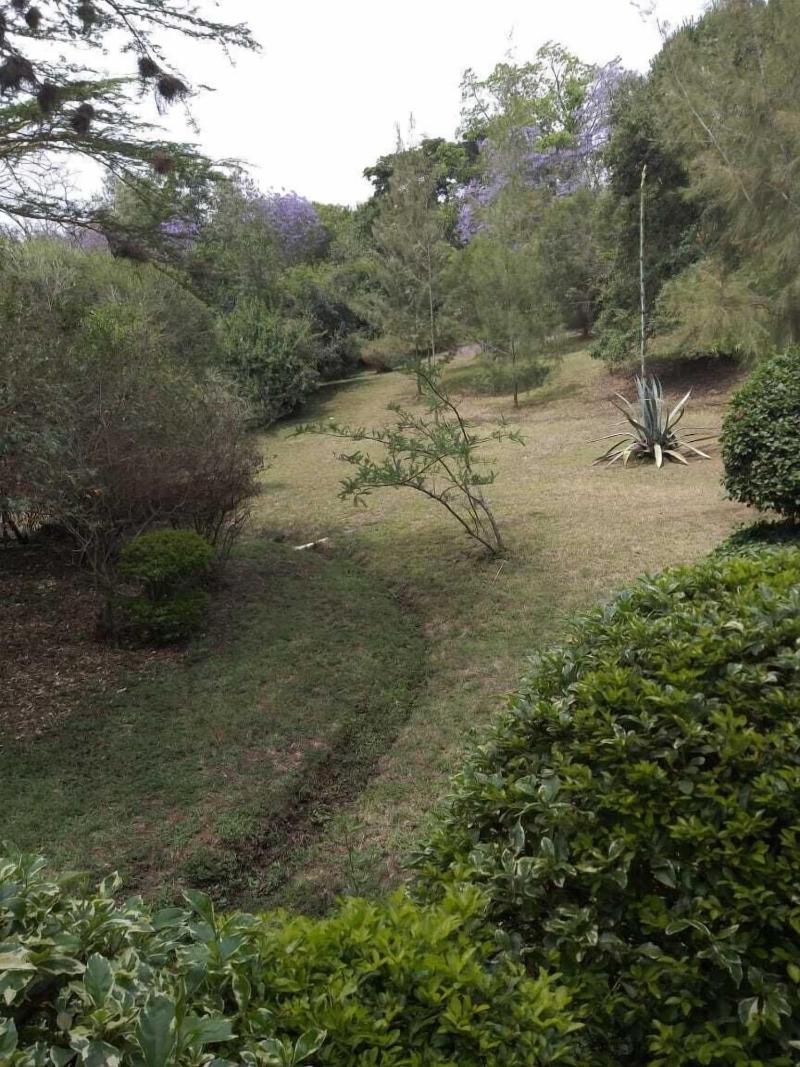Savannah Garden Resorts Limited image
