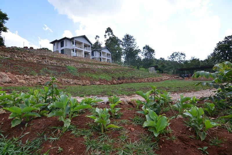 Bubbles Hotel Thika image