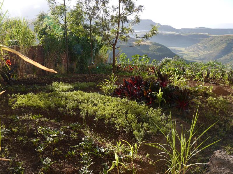Sora Lodge Lalibela image