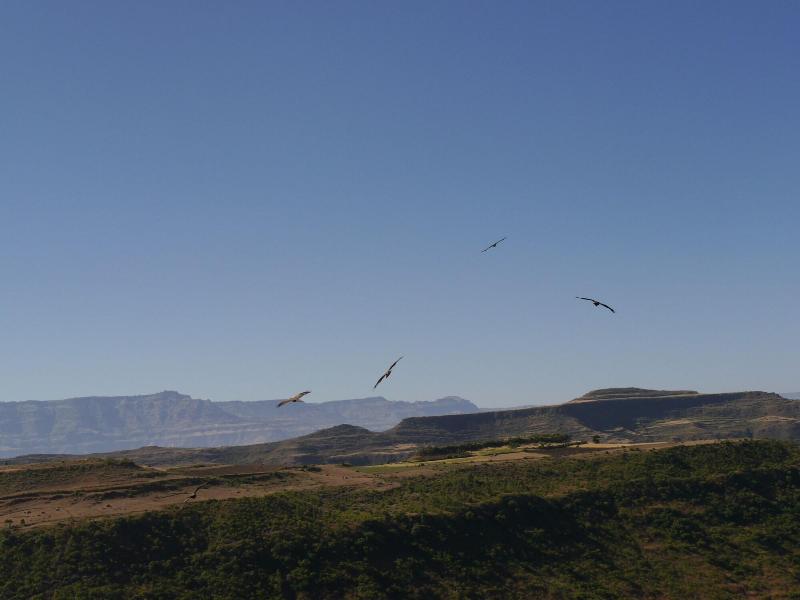 Sora Lodge Lalibela image